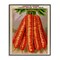 Stupell Industries Country Vintage Carrots Framed Giclee Design by Lil' Rue